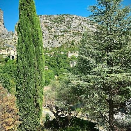 Grand Appartement En Face Du Village Moustiers-Sainte-Marie Esterno foto