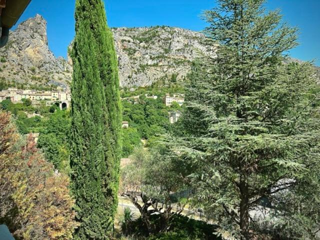 Grand Appartement En Face Du Village Moustiers-Sainte-Marie Esterno foto